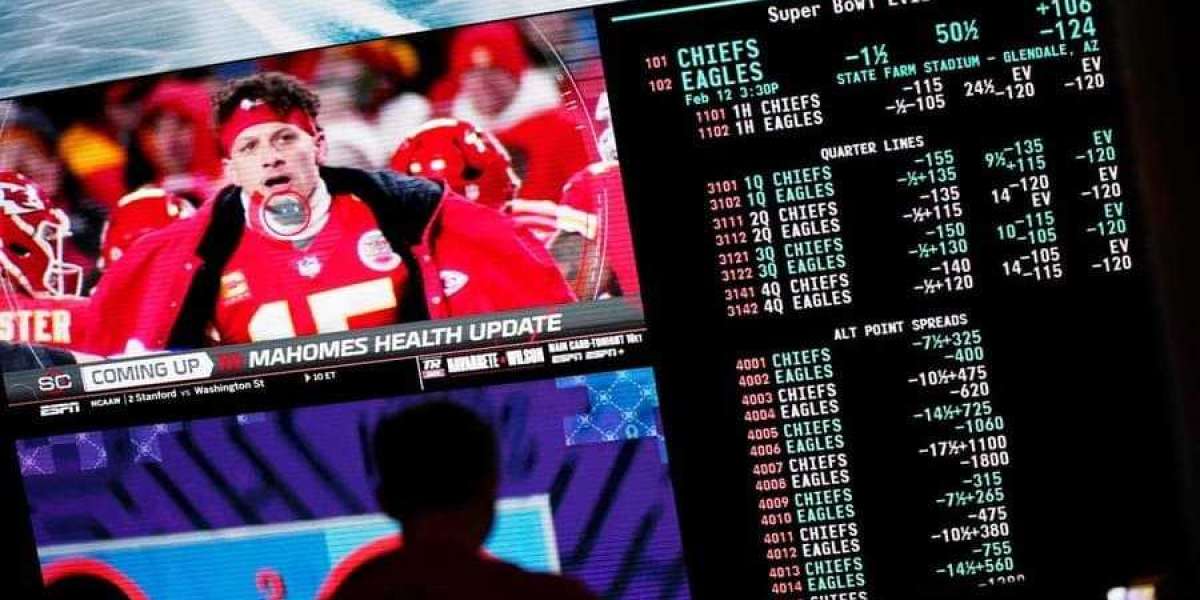 Ultimate Guide to the Best Sports Betting Site